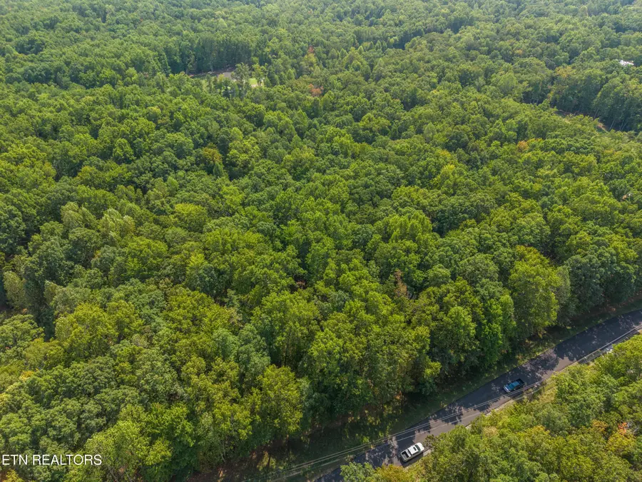 Sawmill Rd #9, Monterey, TN 38574 - #2