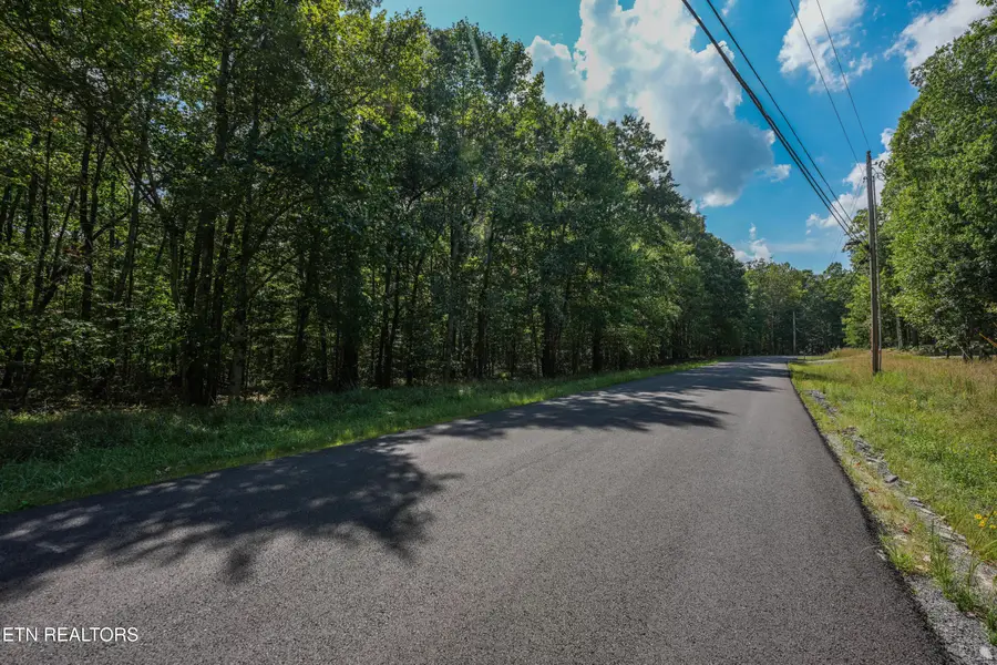 Sawmill Rd #9, Monterey, TN 38574 - #3