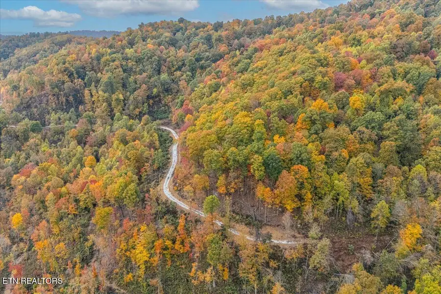 Lot O Buffalo Rd, Oneida, TN 37841 - #3