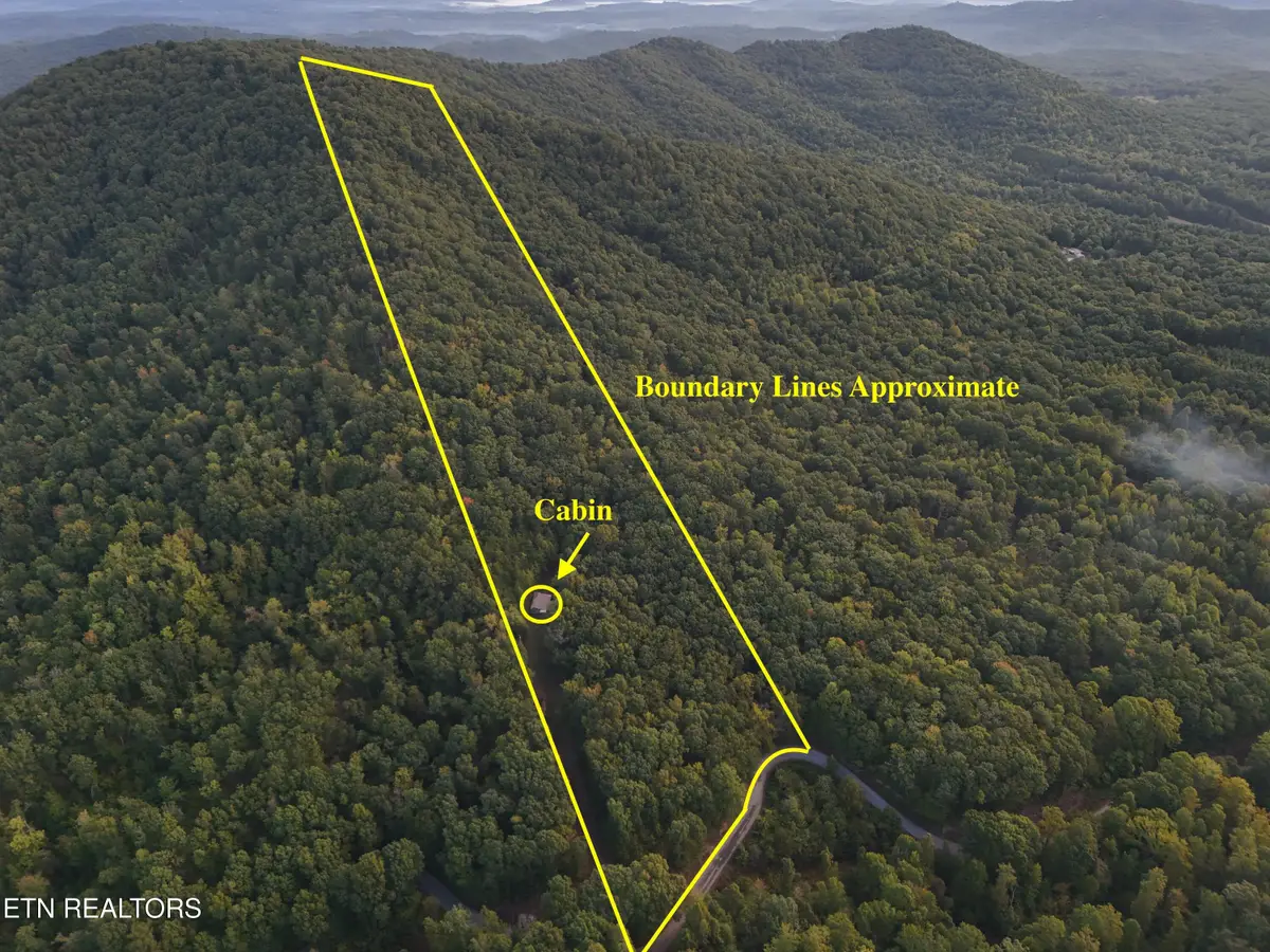 1521 Mill Creek Rd, Sunbright, TN 37872 - #1