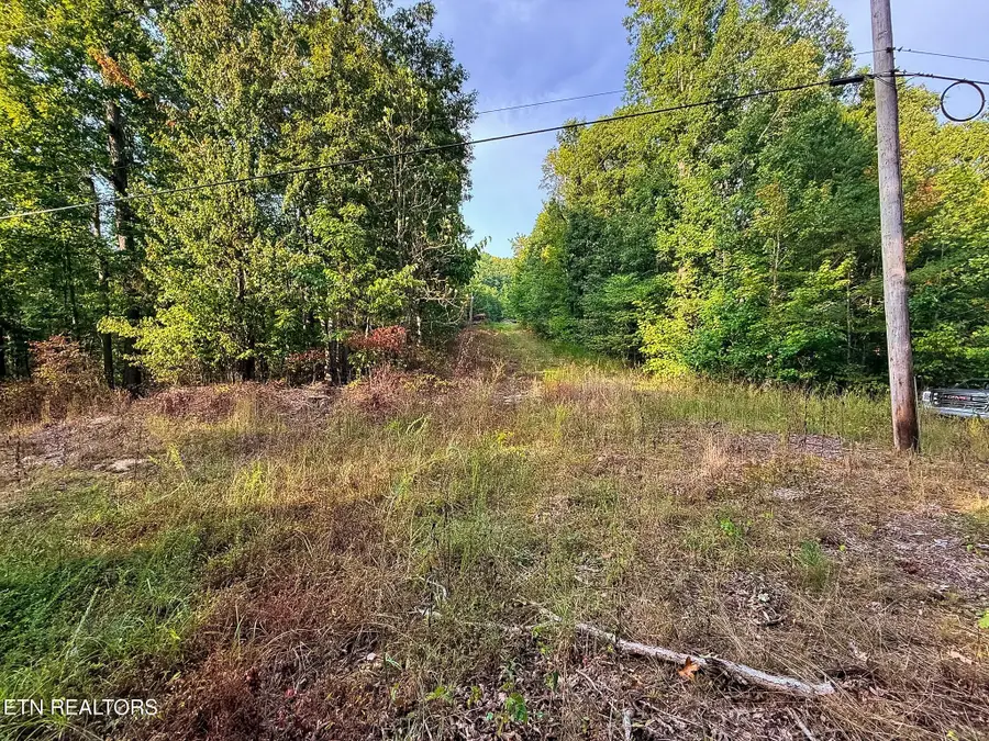 1521 Mill Creek Rd, Sunbright, TN 37872 - #3