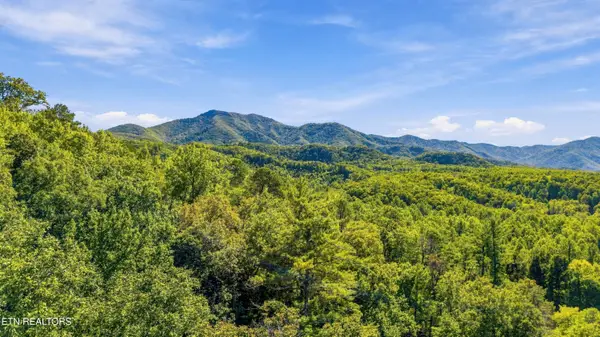 910 Windy Hill Way, Cosby, TN 37722