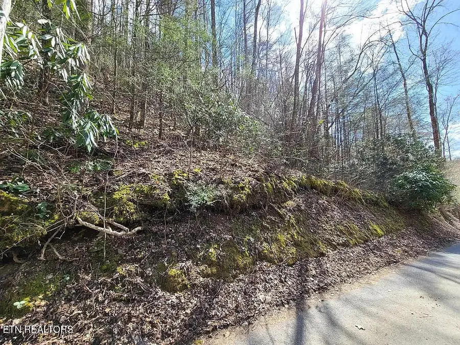0 Butler Branch Rd, Gatlinburg, TN 37738 - #2