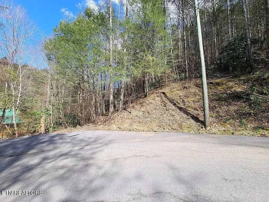 0 Butler Branch Rd, Gatlinburg, TN 37738 - #3