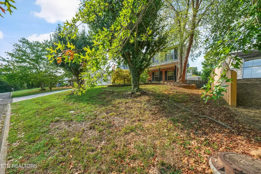 213 Nicely Tr, Powell, TN 37849 - #3