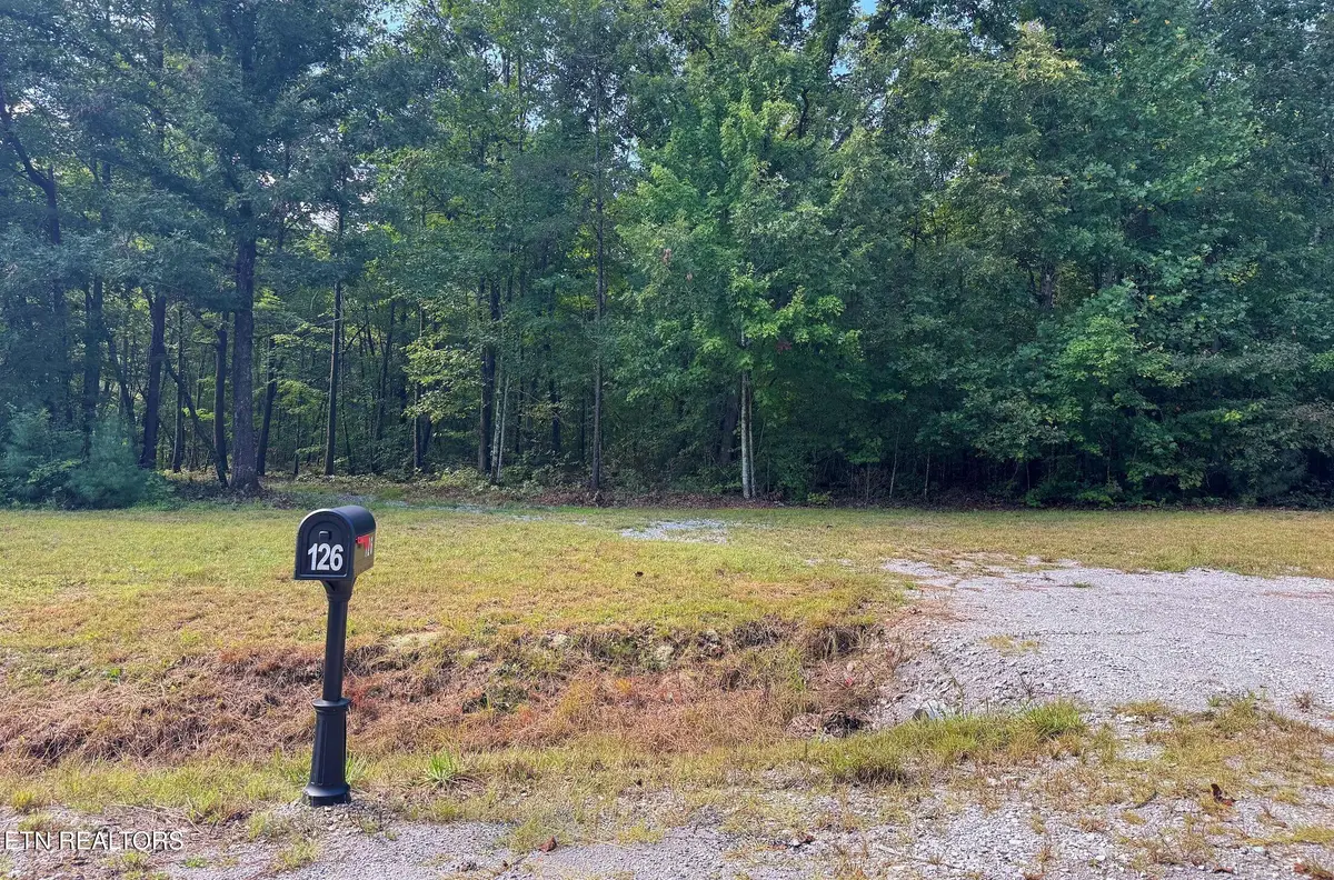 126 Bo's Way, Deer Lodge, TN 37726 - #1