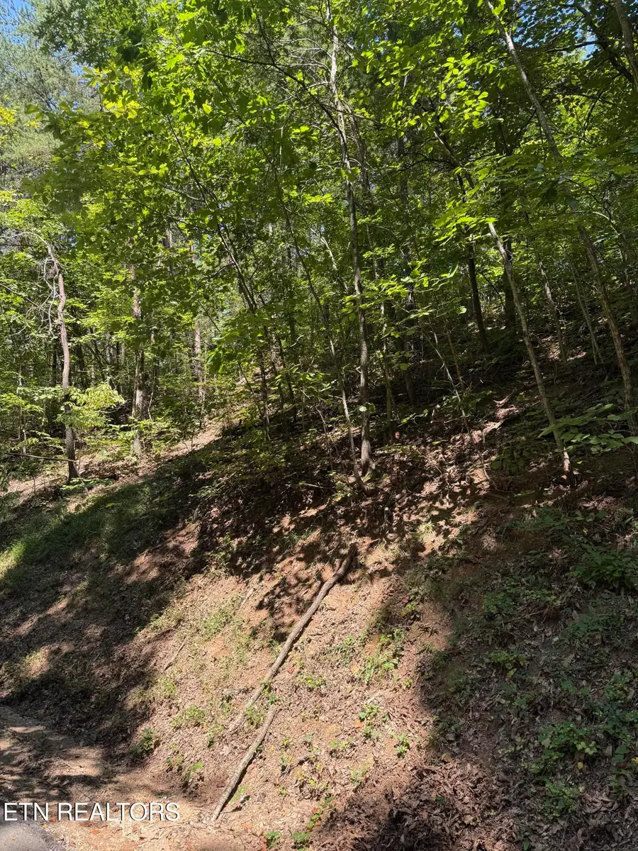 Progress Hill, Pigeon Forge, TN 37863 - #2