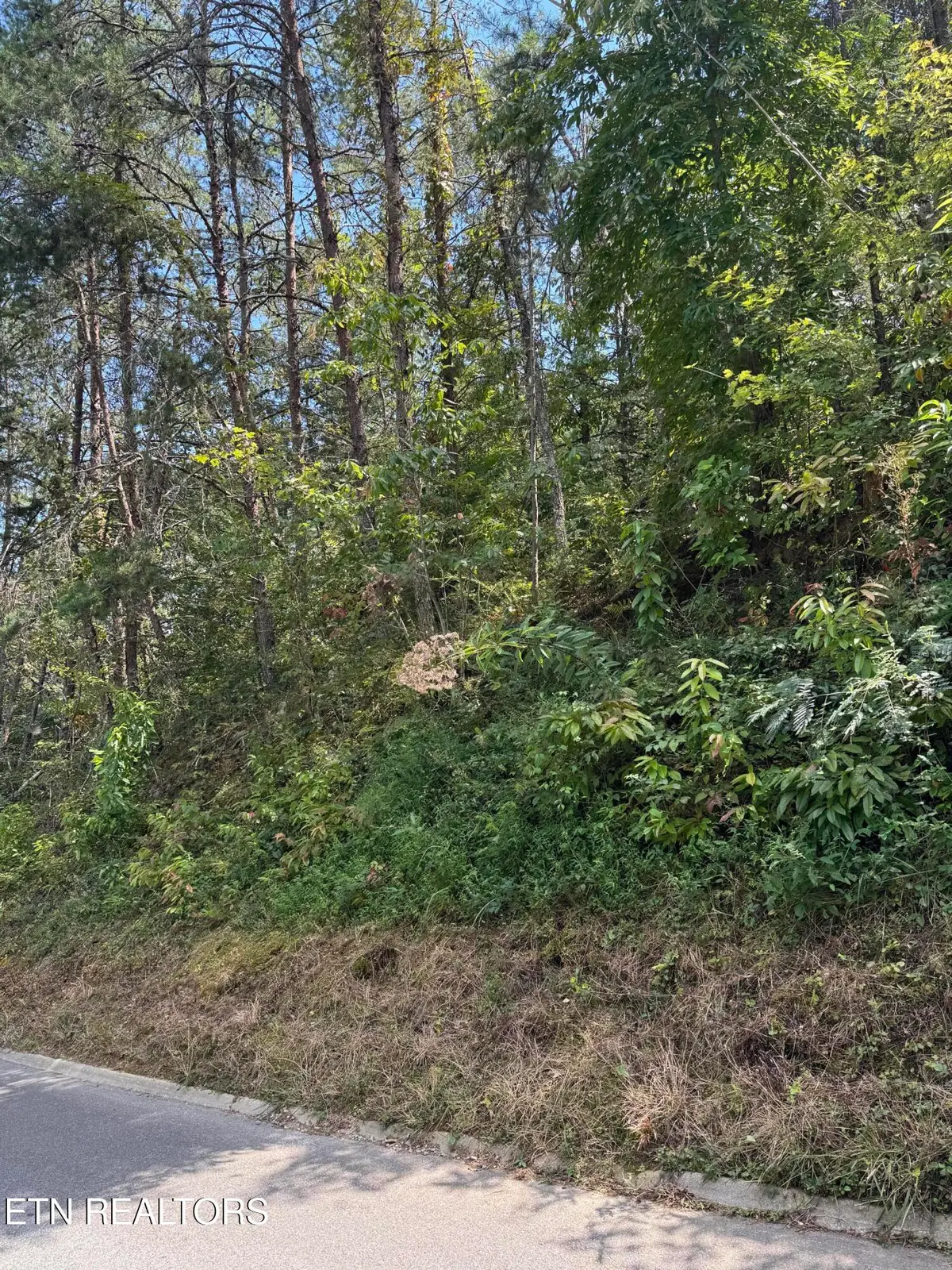 S. B. Ogle, Sevierville, TN 37876 - #1