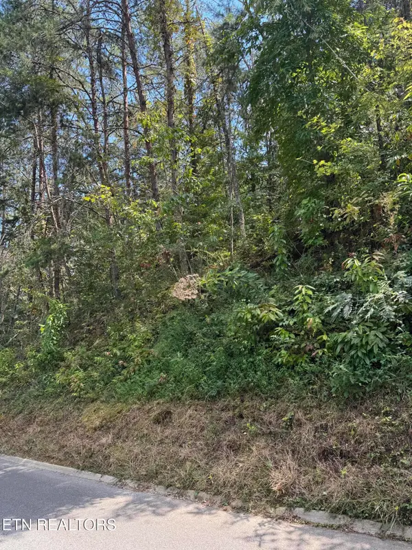 S. B. Ogle, Sevierville, TN 37876