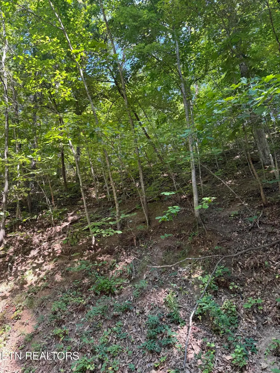 S. B. Ogle Lane, Sevierville, TN 37863 - #2