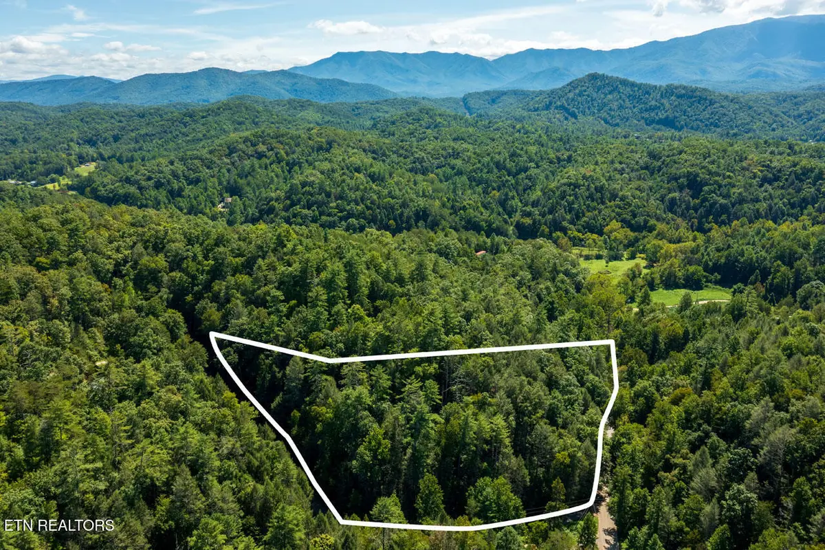 0 Yellow Breeches Rd, Cosby, TN 37722 - #1