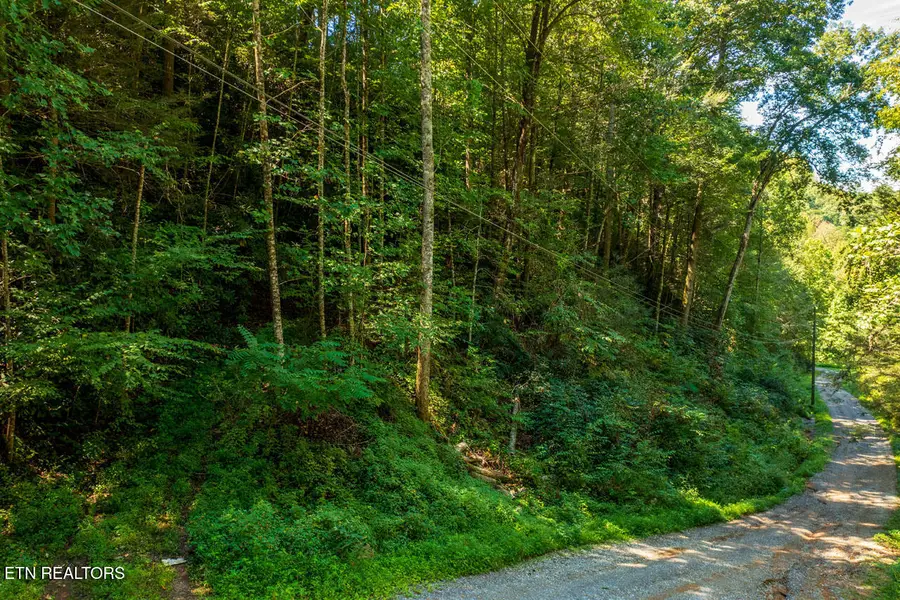 0 Yellow Breeches Rd, Cosby, TN 37722 - #2