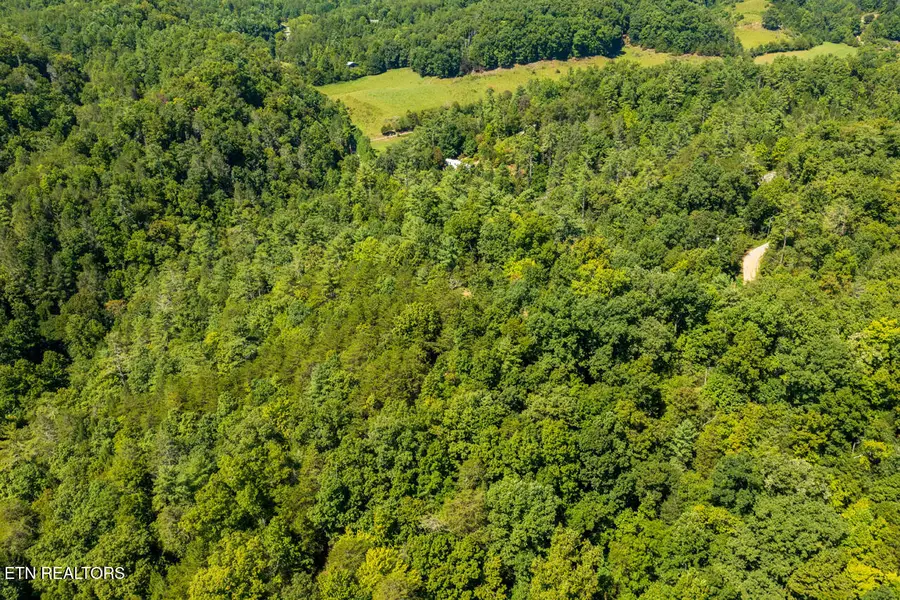 0 Yellow Breeches Rd, Cosby, TN 37722 - #3