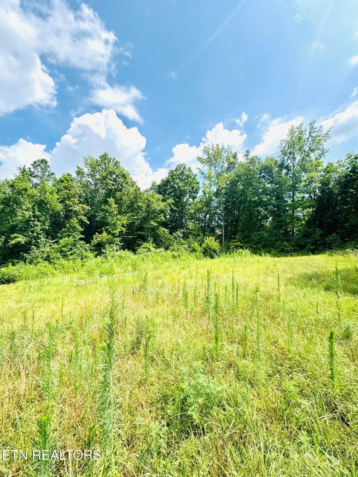 359 Shadows Lawn Drive, Athens, TN 37303 - #1