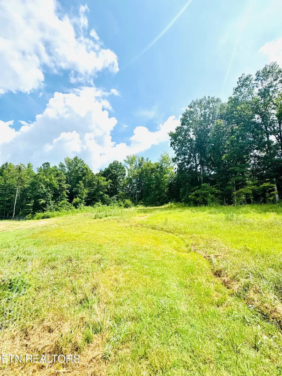 359 Shadows Lawn Drive, Athens, TN 37303 - #3