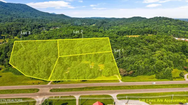 4536 E Lamar Alexander Pkwy, Walland, TN 37886