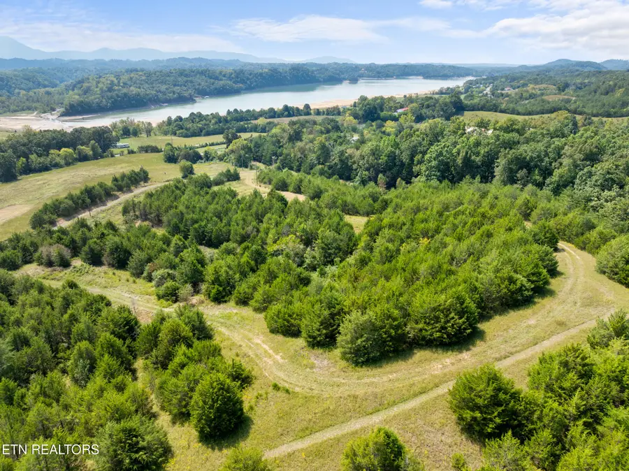 Swannsylvania Rd #Lot 4, Dandridge, TN 37725 - #3