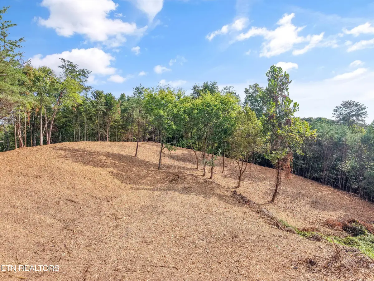 7826 Swaggerty Rd, Knoxville, TN 37920 - #1