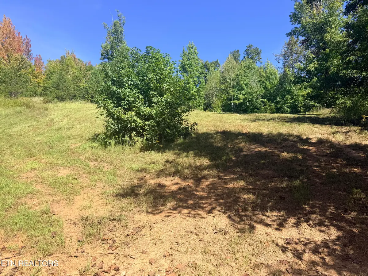Sheerwater Rd, Kingston, TN 37763 - #1