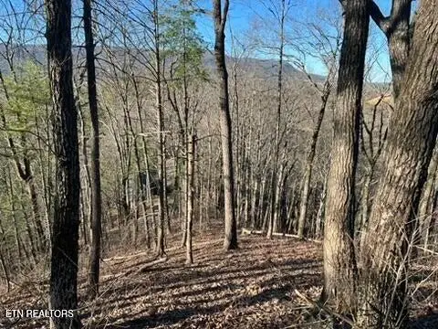 2353 Headrick Lead, Sevierville, TN 37862 - #1