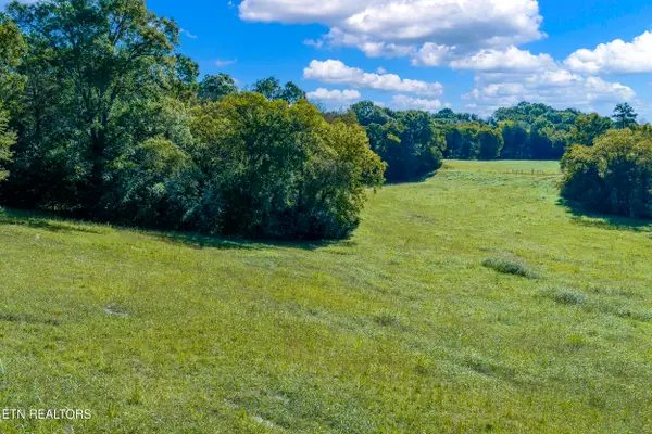 Richland Rd, Blaine, TN 37709