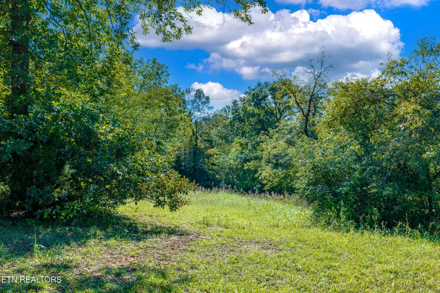 Richland Rd, Blaine, TN 37709 - #3