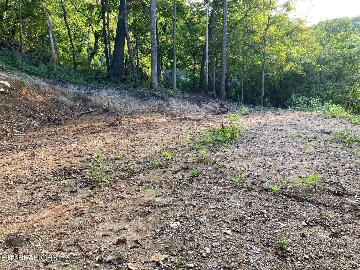 311 W Chestnut St, Lafollette, TN 37766 - #1