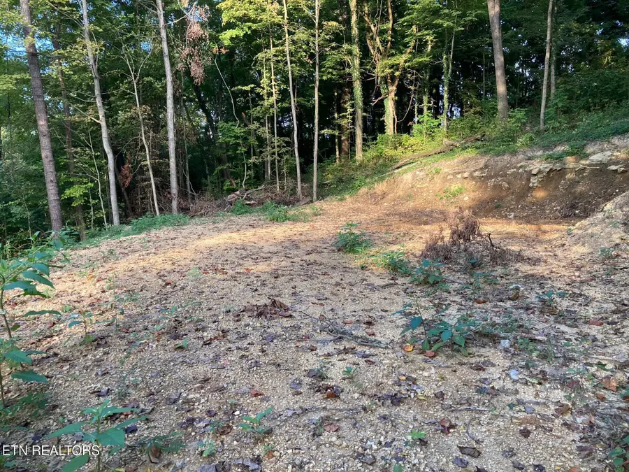 311 W Chestnut St, Lafollette, TN 37766 - #3