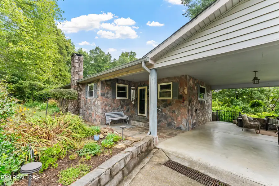 1629 Piney Point Rd, Spring City, TN 37381 - #3