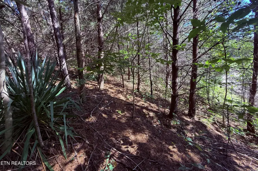 1033 Crown Ridge Lane, Powell, TN 37849 - #3