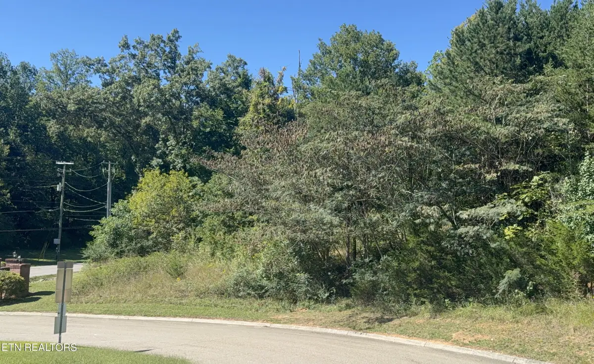 1041 Crown Ridge Lane, Powell, TN 37849 - #1