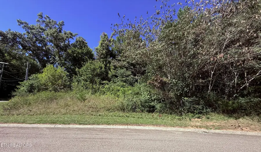 1041 Crown Ridge Lane, Powell, TN 37849 - #2