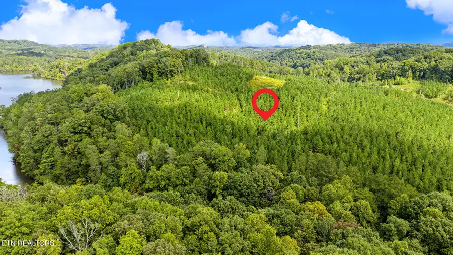 2067 Winding Trail, Vonore, TN 37885 - #2