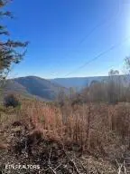 Hatfield Creek Rd, Newcomb, TN 37819 - #1