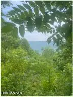 Hatfield Creek Rd, Newcomb, TN 37819 - #2