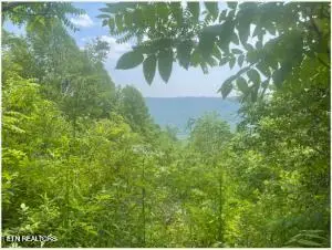 Hatfield Creek Rd, Newcomb, TN 37819 - #3