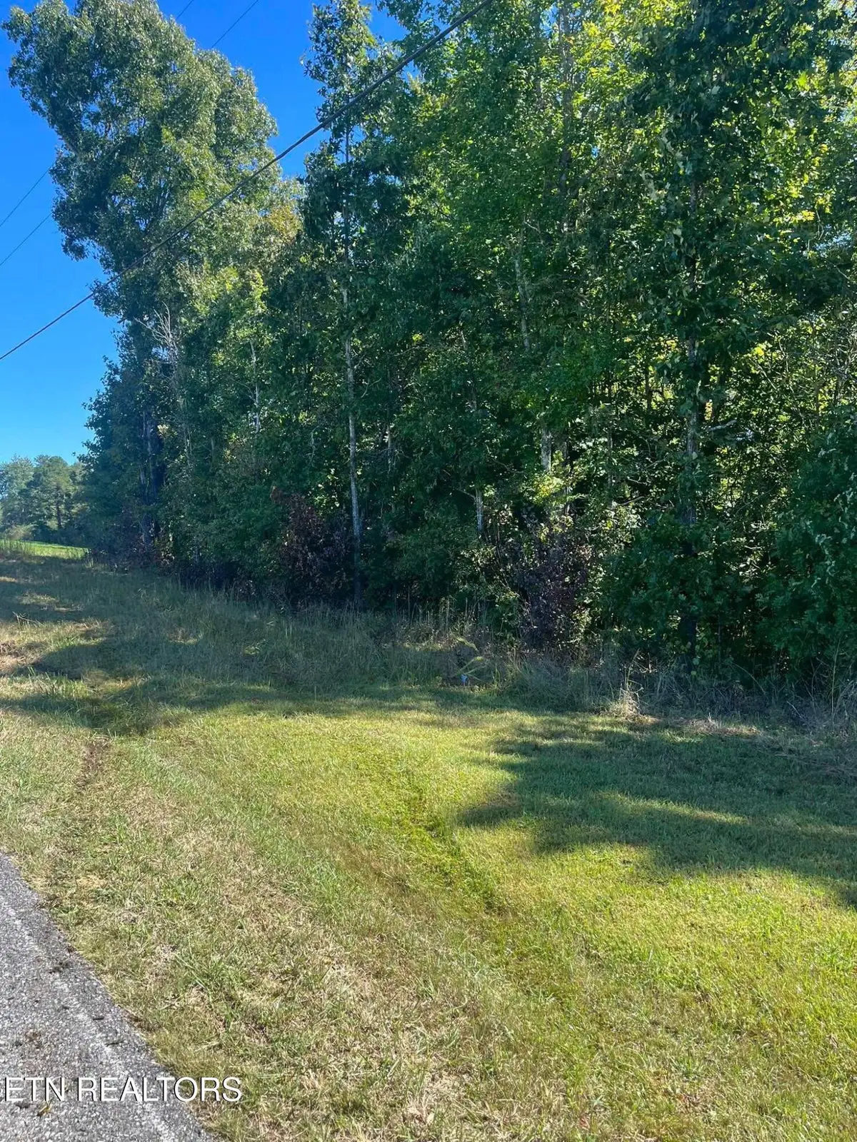 Brewstertown Rd, Robbins, TN 37852 - #1