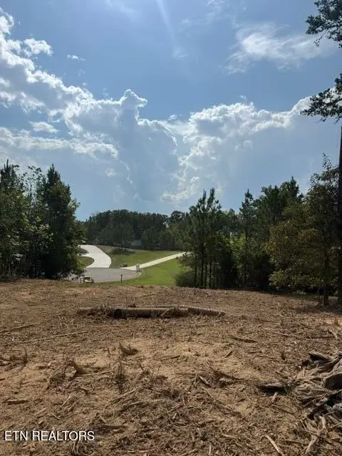 638 Red Hill Lane, Greenback, TN 37742