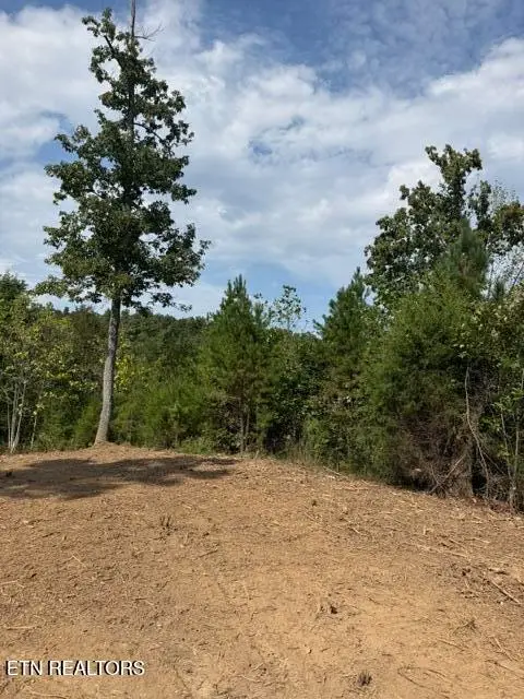 638 Red Hill Lane, Greenback, TN 37742 - #2