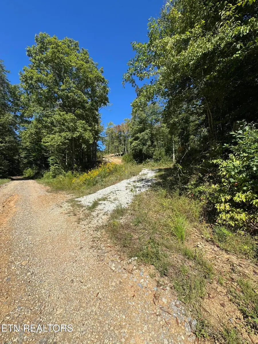 2774 Stanley Creek Rd, Oneida, TN 37841 - #2