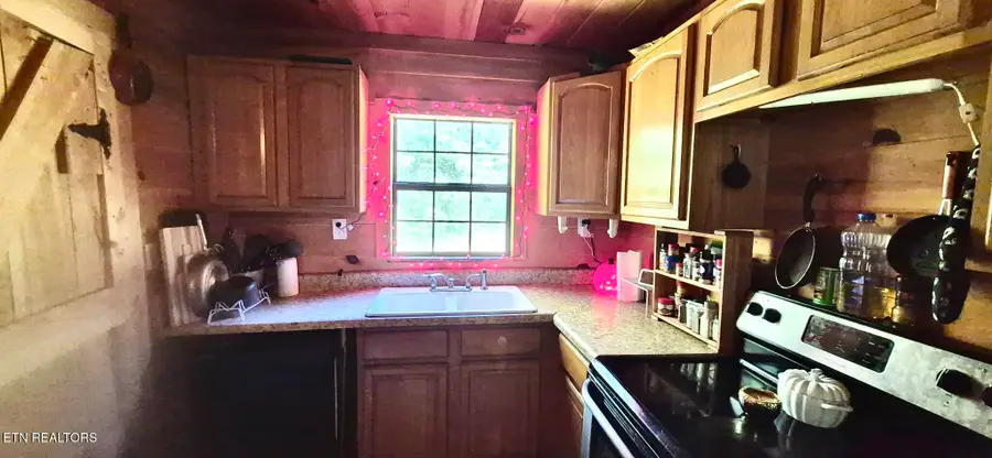 194 Williams Branch Rd, Lancing, TN 37770 - #2