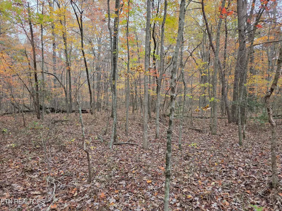 6 Divide Tr, Monterey, TN 38574 - #3