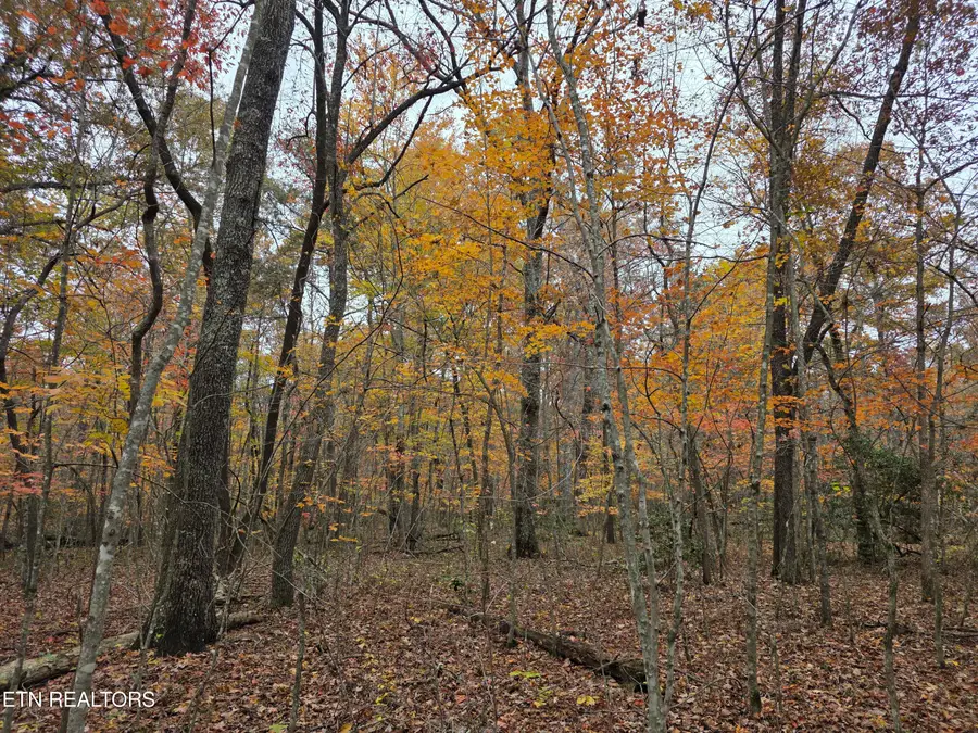 7 Divide Tr, Monterey, TN 38574 - #2
