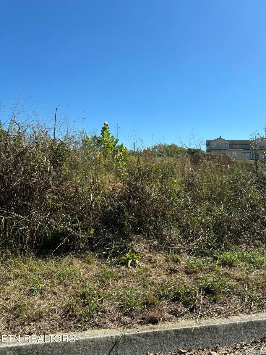 Business Center Circle, Sevierville, TN 37862 - #3
