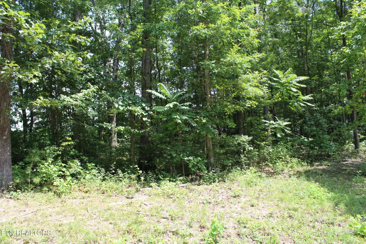 Tennessee 154, Jamestown, TN 38556 - #1