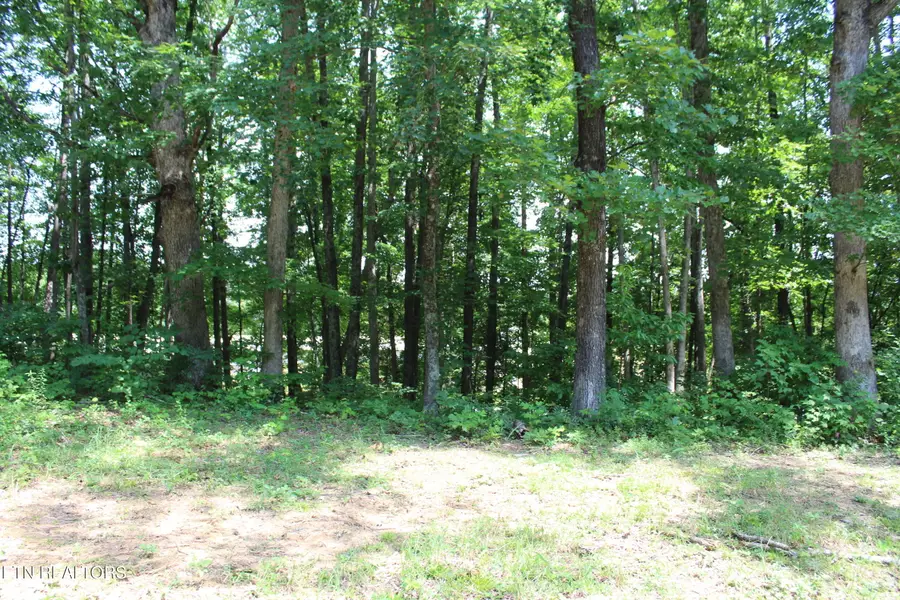 Tennessee 154, Jamestown, TN 38556 - #3
