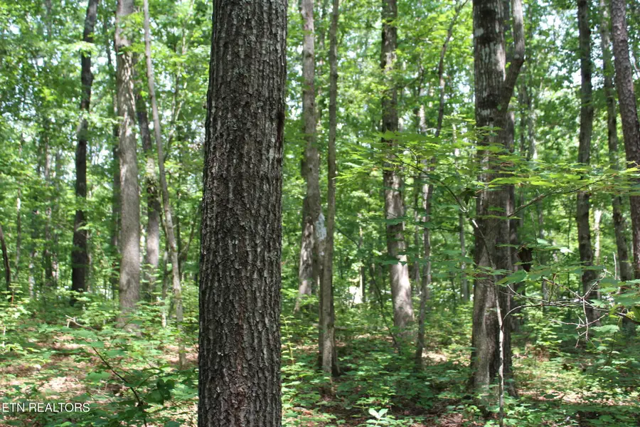 Pickett Park Hwy, Jamestown, TN 38556 - #3