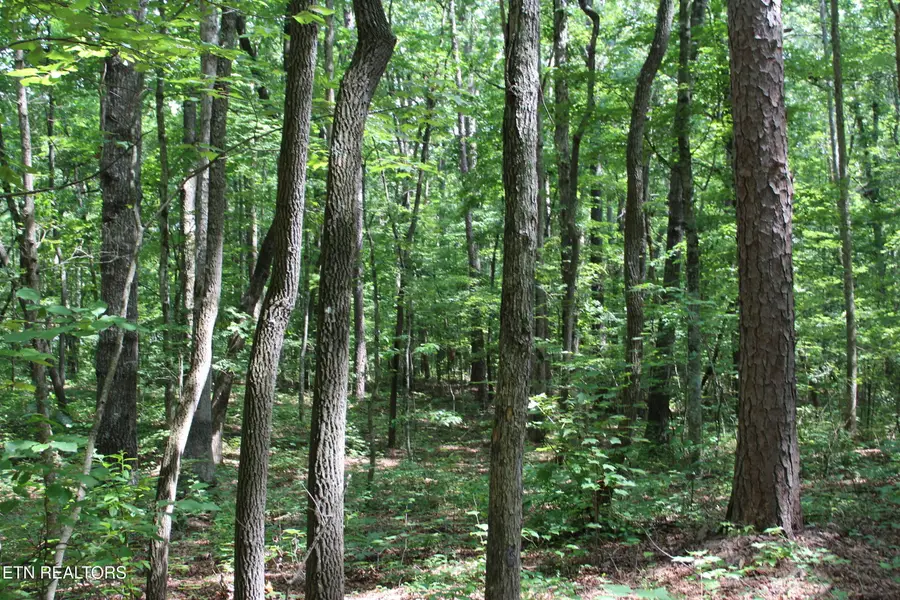 Pickett Park Hwy, Jamestown, TN 38556 - #2