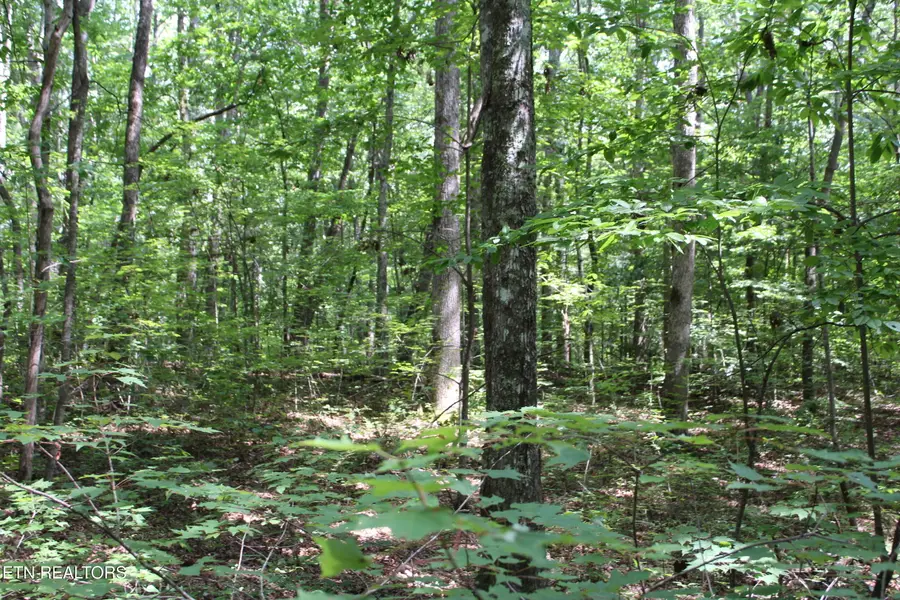 Pickett Park Hwy, Jamestown, TN 38556 - #2