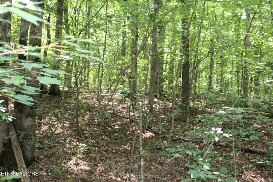 Pickett Park Hwy, Jamestown, TN 38556 - #2